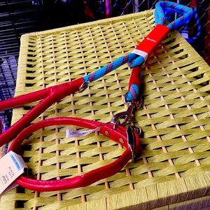 Teddy dog collar and leash set.